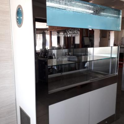 Murena - Acuarios y Viveros de marisco Tecnomar?>